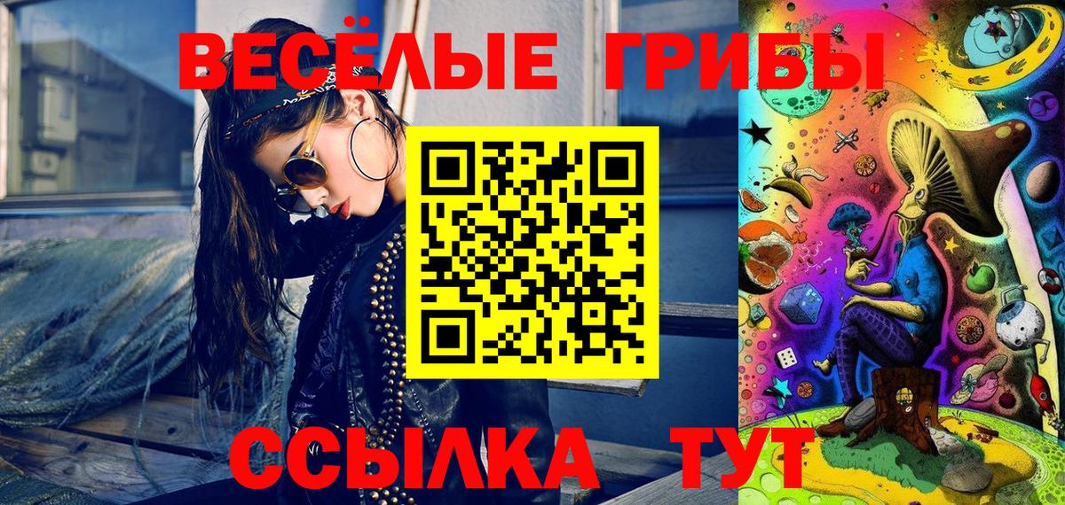 Псилоцибиновые грибы Cubensis  Псилоцибиновые грибы Psilocybine cubensis  Киров 